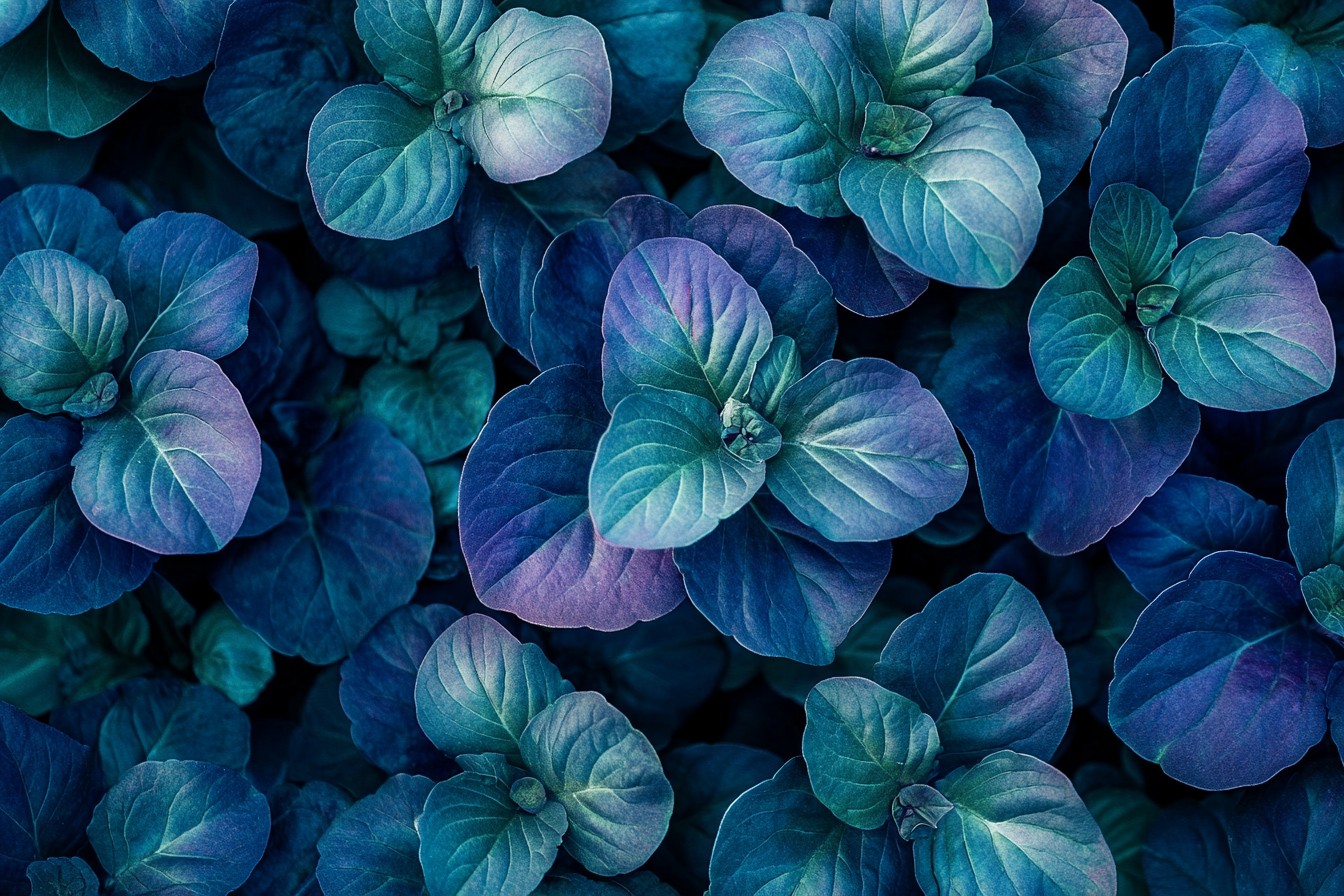 im1979_5_Hydroponic_Crops_That_Thrived_in_My_Apartment._This__e669fa8c-3d57-4975-bb73-385d42386db9_0