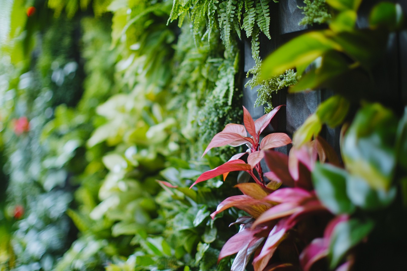 im1979_Creating_Shade-Tolerant_Vertical_Gardens._This_image_n_831cd429-5098-4494-ba86-f74acc8f141b_1