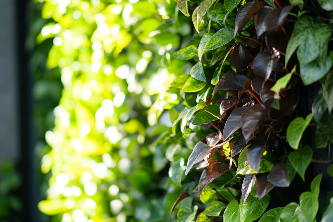 im1979_Creating_Shade-Tolerant_Vertical_Gardens._This_image_n_831cd429-5098-4494-ba86-f74acc8f141b_3