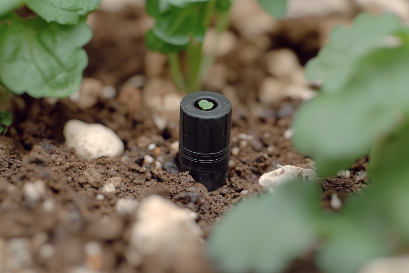 Drip Irrigation: Elevate Your Urban Garden Game amazing