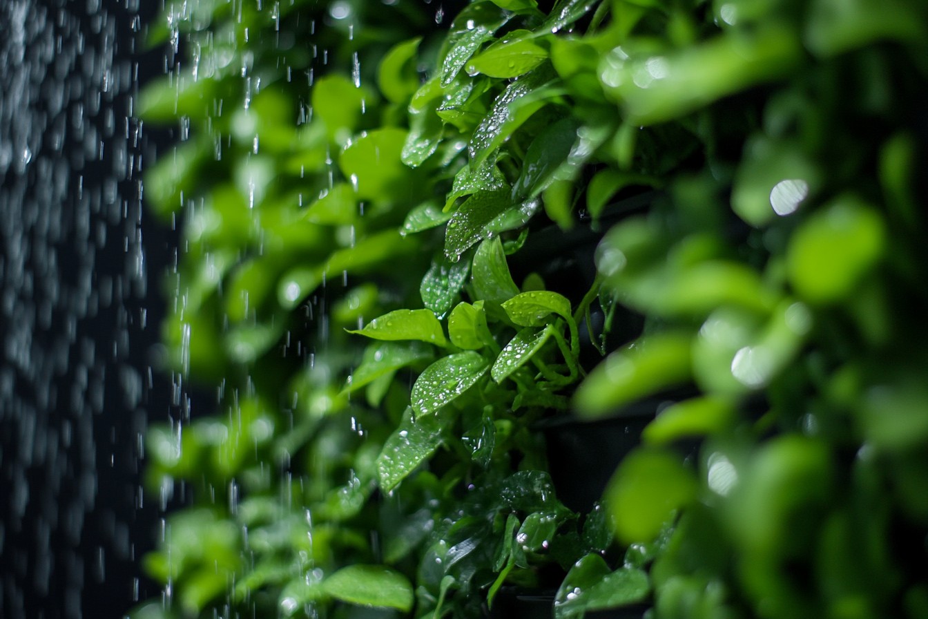 Discover DIY watering solutions for your vertical garden! Maximize small spaces with these eco-friendly tips. #VerticalGarden #Diy