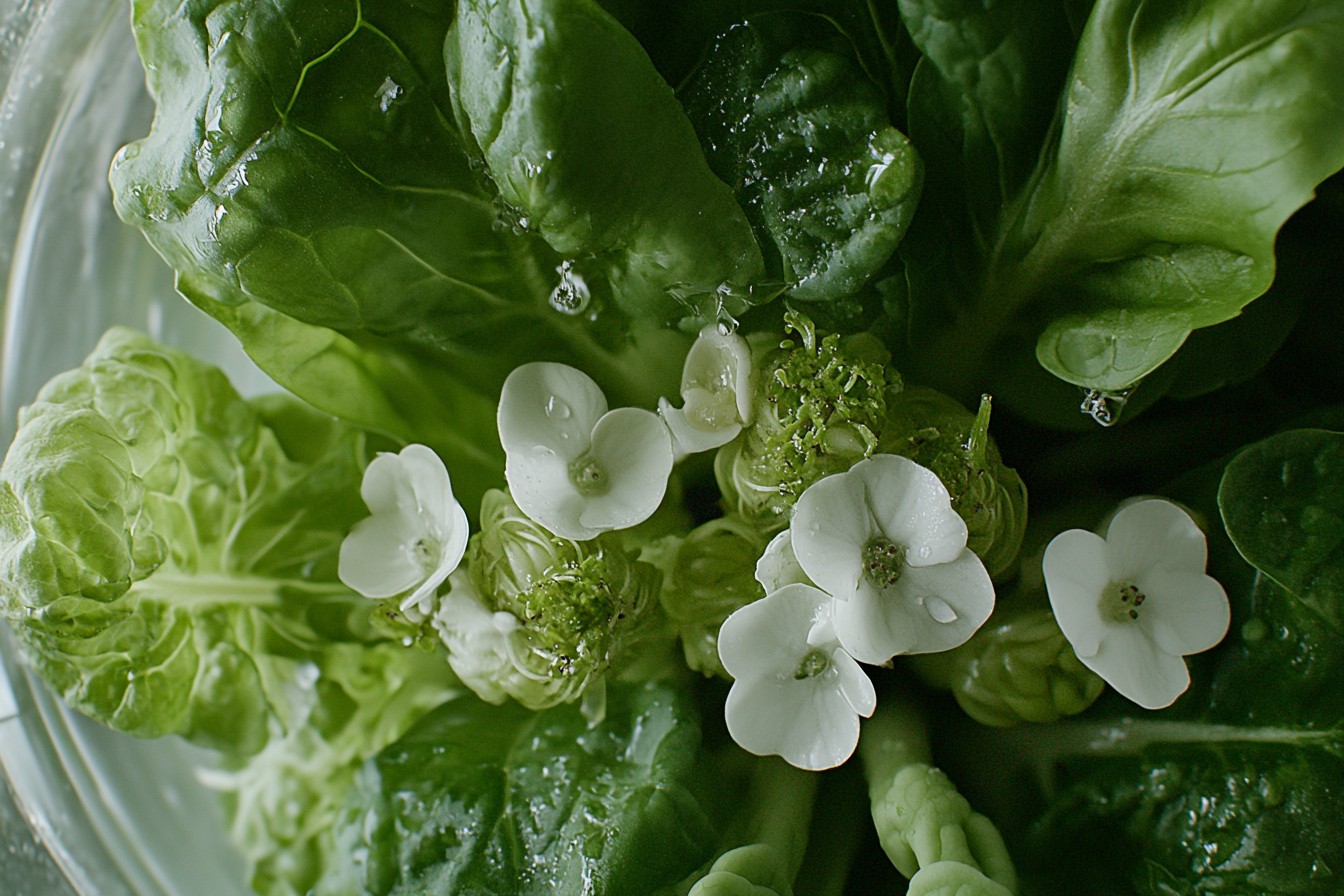 Discover year-round aeroponic gardening tips for small spaces! 🌱 Maximize your balcony garden with eco-friendly techniques. #Yearround #Aeroponic